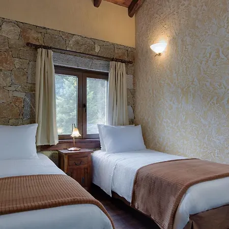 Σαλέ Parnassus Dreamwood