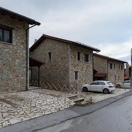 Parnassus Dreamwood *